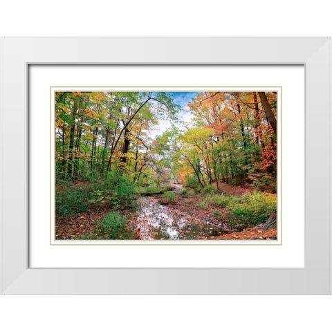 Autumn at Hopkins Pond White Modern Wood Framed Art Print with Double Matting by Rivera, John