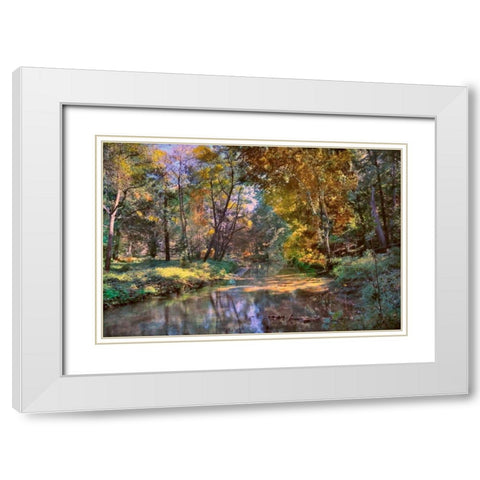 Autumn in The Afternoon White Modern Wood Framed Art Print with Double Matting by Rivera, John