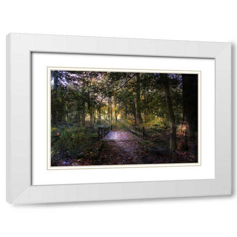 Beyond The Wooden Bridge White Modern Wood Framed Art Print with Double Matting by Rivera, John