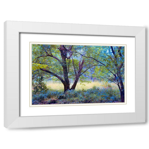 Forgotten Day Dreams White Modern Wood Framed Art Print with Double Matting by Rivera, John