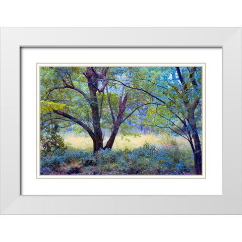 Forgotten Day Dreams White Modern Wood Framed Art Print with Double Matting by Rivera, John