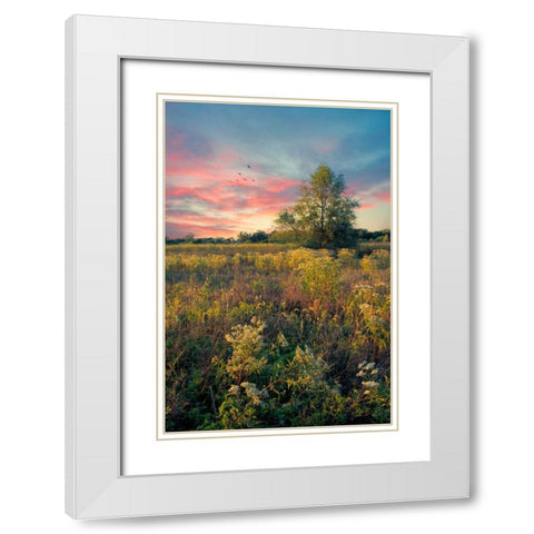 Grateful for The Day White Modern Wood Framed Art Print with Double Matting by Rivera, John