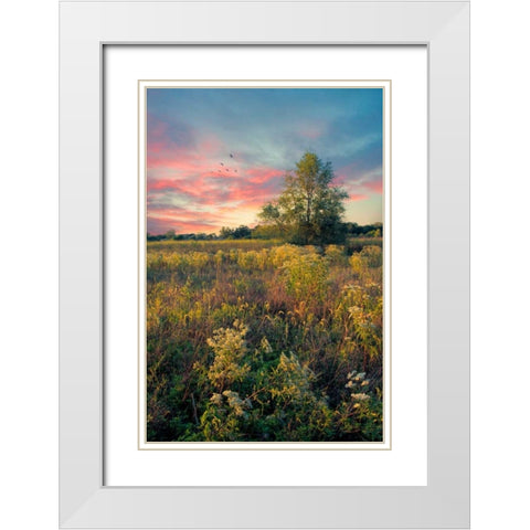 Grateful for The Day White Modern Wood Framed Art Print with Double Matting by Rivera, John