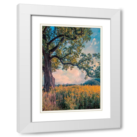 Where I Daydream White Modern Wood Framed Art Print with Double Matting by Rivera, John