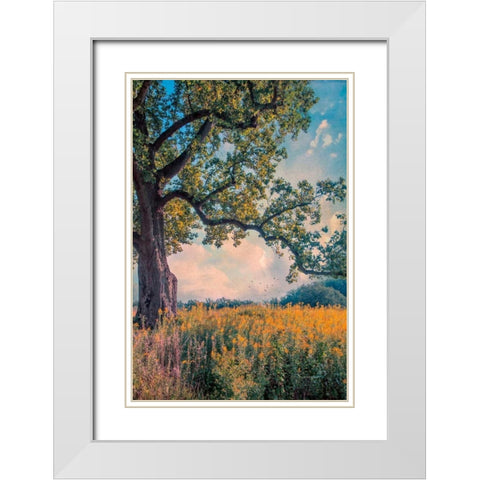 Where I Daydream White Modern Wood Framed Art Print with Double Matting by Rivera, John