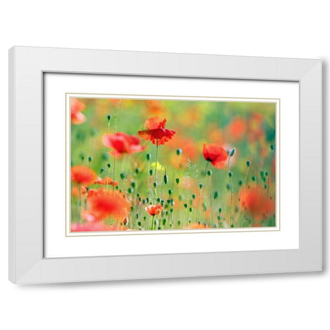 United Colors of Summer White Modern Wood Framed Art Print with Double Matting by Raimond, Roeselien