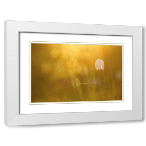 Golden White Modern Wood Framed Art Print with Double Matting by Raimond, Roeselien