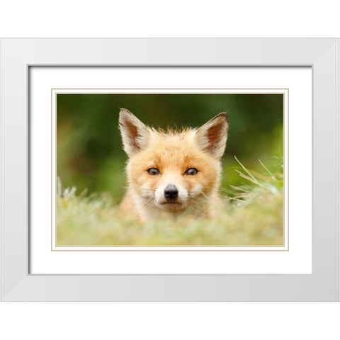 Bad Fur Day White Modern Wood Framed Art Print with Double Matting by Raimond, Roeselien