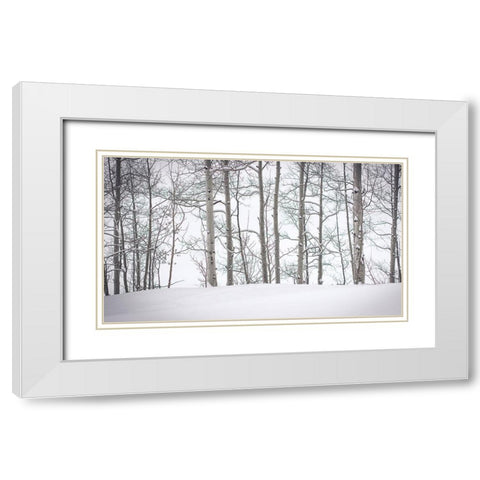 Behind Cloister Doors White Modern Wood Framed Art Print with Double Matting by Rogers, Eunika