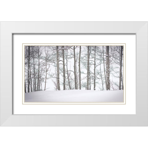 Behind Cloister Doors White Modern Wood Framed Art Print with Double Matting by Rogers, Eunika