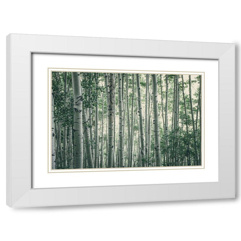 Obscured By Alters White Modern Wood Framed Art Print with Double Matting by Rogers, Eunika