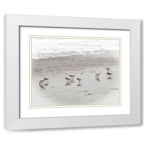 Sandpipers White Modern Wood Framed Art Print with Double Matting by Ryan, Brooke T.