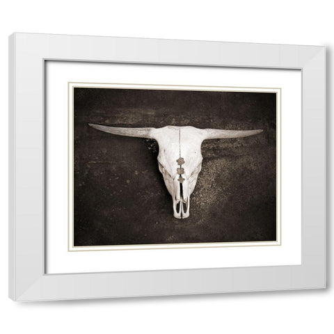 Sepia Cattle Skull White Modern Wood Framed Art Print with Double Matting by Ryan, Brooke T.