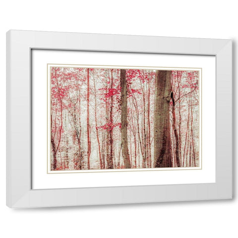 Pink And Brown Fantasy Forest White Modern Wood Framed Art Print with Double Matting by Ryan, Brooke T.