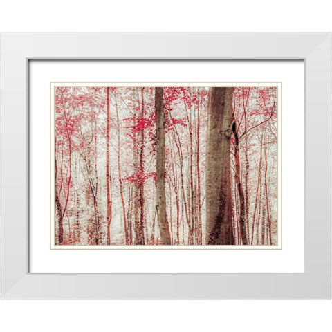 Pink And Brown Fantasy Forest White Modern Wood Framed Art Print with Double Matting by Ryan, Brooke T.