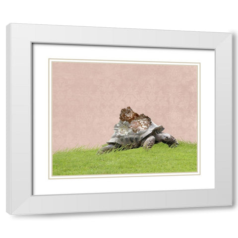 Tortoise on Pink White Modern Wood Framed Art Print with Double Matting by Ryan, Brooke T.