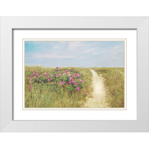 Beach Roses White Modern Wood Framed Art Print with Double Matting by Ryan, Brooke T.