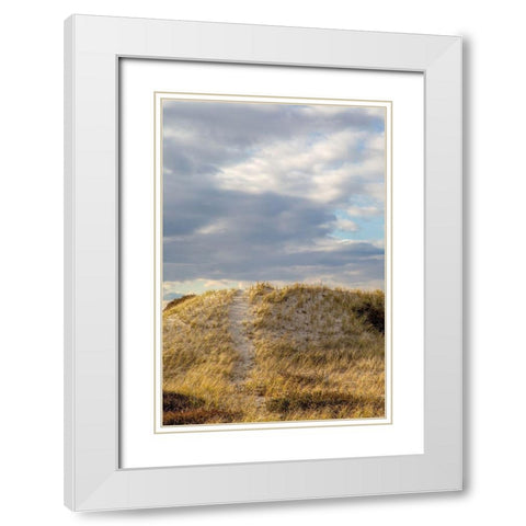 Dunes Trail White Modern Wood Framed Art Print with Double Matting by Ryan, Brooke T.