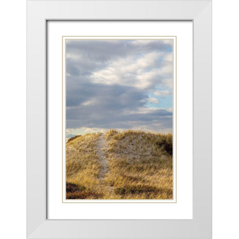 Dunes Trail White Modern Wood Framed Art Print with Double Matting by Ryan, Brooke T.