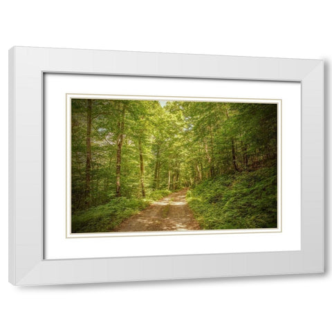 Forest Road White Modern Wood Framed Art Print with Double Matting by Ryan, Brooke T.
