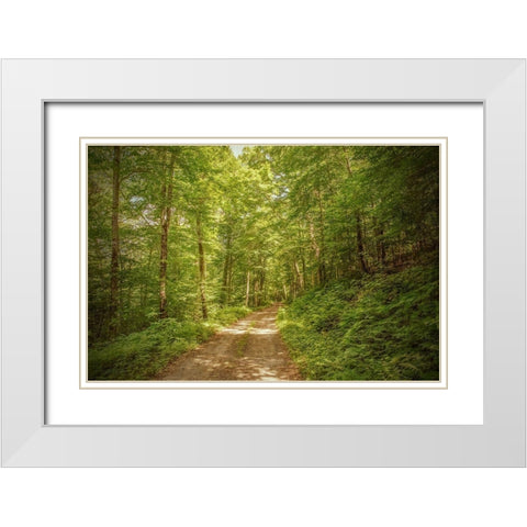 Forest Road White Modern Wood Framed Art Print with Double Matting by Ryan, Brooke T.