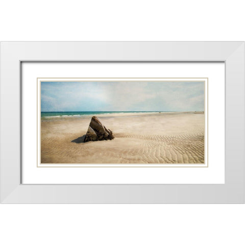 Beach Boulder White Modern Wood Framed Art Print with Double Matting by Ryan, Brooke T.