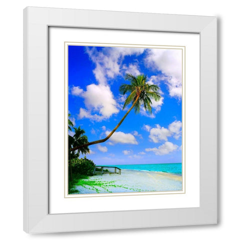 Sanibel Island White Modern Wood Framed Art Print with Double Matting by Reed, Jack