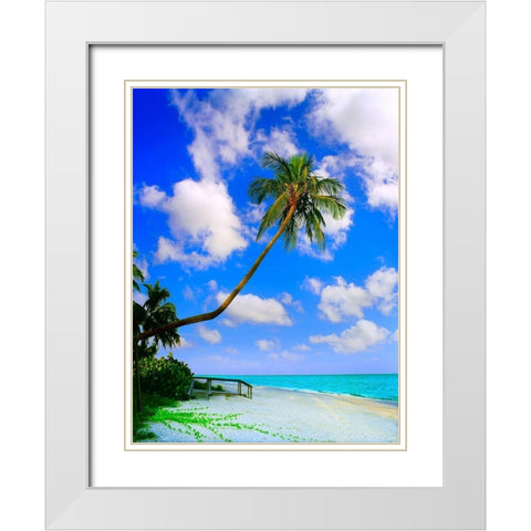 Sanibel Island White Modern Wood Framed Art Print with Double Matting by Reed, Jack