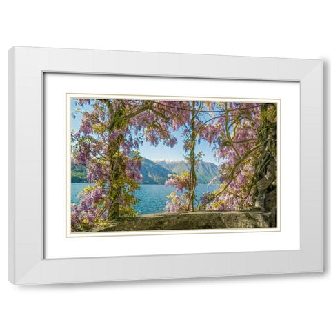 Wisteria and Mountains â€“ Lago di Como White Modern Wood Framed Art Print with Double Matting by Ryan, Brooke T.