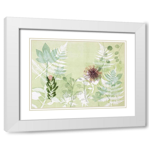 A Myriad Celebration of Plants White Modern Wood Framed Art Print with Double Matting by Rice, Trudy
