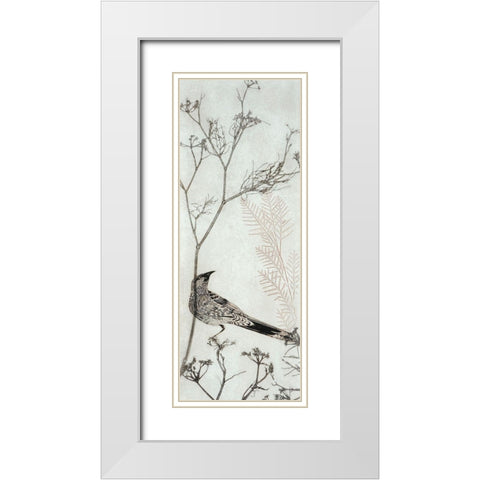Wattlebird Resting on a Branch White Modern Wood Framed Art Print with Double Matting by Rice, Trudy