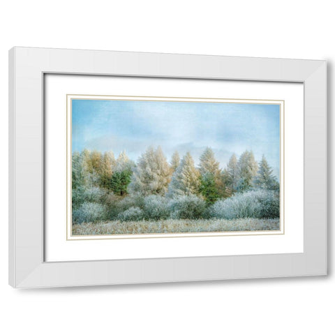 Winter Wonderland White Modern Wood Framed Art Print with Double Matting by Ryan, Brooke T.