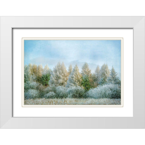 Winter Wonderland White Modern Wood Framed Art Print with Double Matting by Ryan, Brooke T.