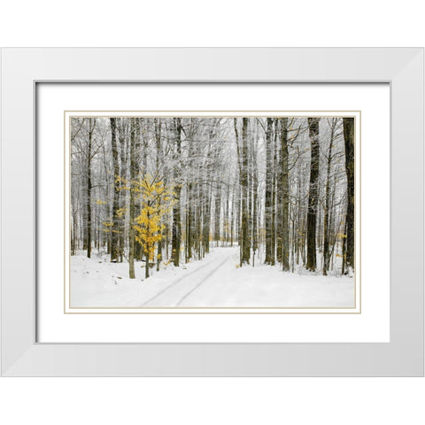Mustard Tree White Modern Wood Framed Art Print with Double Matting by Ryan, Brooke T.