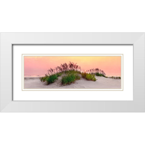 Sea Oats Sun White Modern Wood Framed Art Print with Double Matting by Reed, Jack