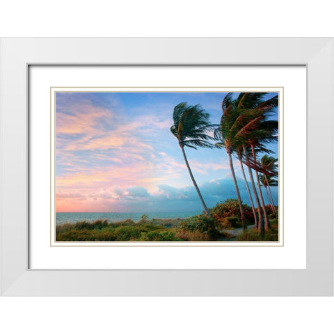 Seabreeze White Modern Wood Framed Art Print with Double Matting by Reed, Jack
