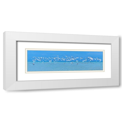 Sugarlife Seabirds White Modern Wood Framed Art Print with Double Matting by Reed, Jack