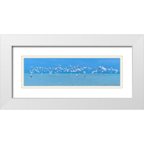 Sugarlife Seabirds White Modern Wood Framed Art Print with Double Matting by Reed, Jack