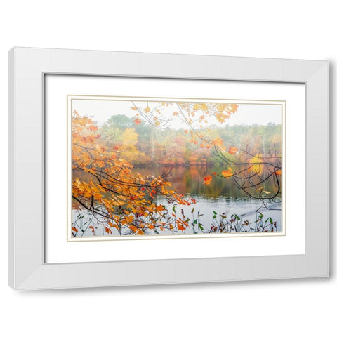 Autumn Pond White Modern Wood Framed Art Print with Double Matting by Ryan, Brooke T.