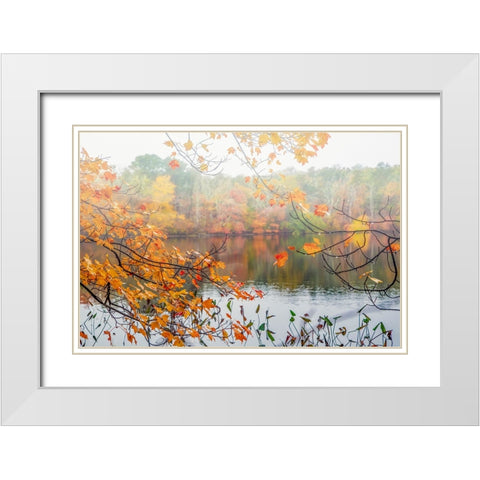 Autumn Pond White Modern Wood Framed Art Print with Double Matting by Ryan, Brooke T.
