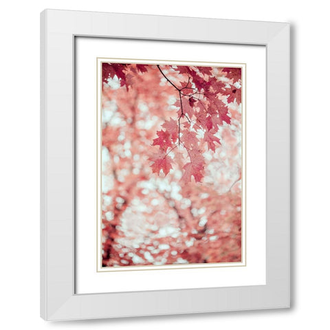 Pink and Coral Maple Leaves White Modern Wood Framed Art Print with Double Matting by Ryan, Brooke T.