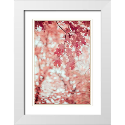Pink and Coral Maple Leaves White Modern Wood Framed Art Print with Double Matting by Ryan, Brooke T.