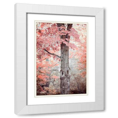 Pink and Coral Maple Tree White Modern Wood Framed Art Print with Double Matting by Ryan, Brooke T.