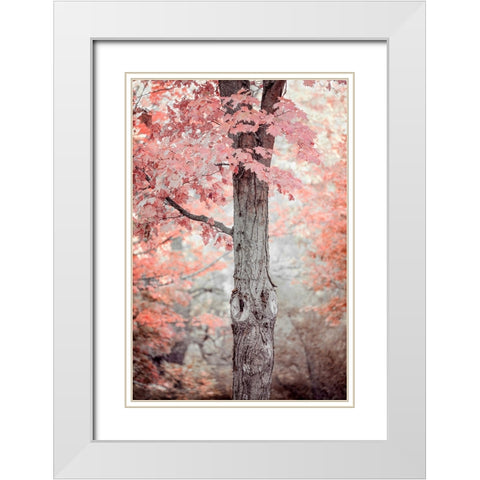 Pink and Coral Maple Tree White Modern Wood Framed Art Print with Double Matting by Ryan, Brooke T.