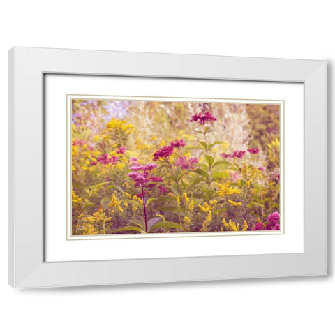Plum and Mustard Wildflowers White Modern Wood Framed Art Print with Double Matting by Ryan, Brooke T.