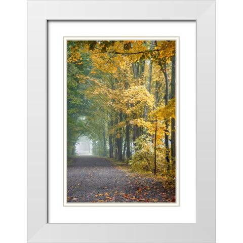 Tunnel Through Misty Forest White Modern Wood Framed Art Print with Double Matting by Ryan, Brooke T.