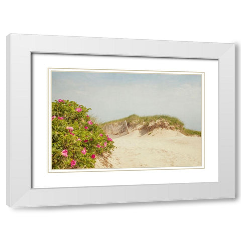 Rosa Rugosa White Modern Wood Framed Art Print with Double Matting by Ryan, Brooke T.