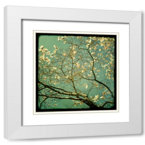 Reach White Modern Wood Framed Art Print with Double Matting by Suchocki, Irene