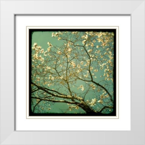 Reach White Modern Wood Framed Art Print with Double Matting by Suchocki, Irene