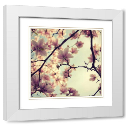 Pink Blossoms White Modern Wood Framed Art Print with Double Matting by Suchocki, Irene